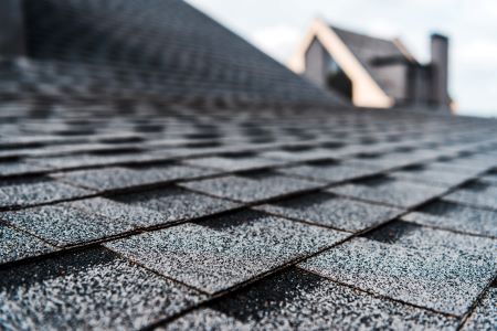 Professional Roofing Contractor